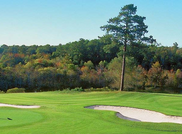 Things To Do Sea Trail Package