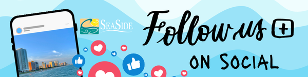 Seaside Insider Guest Newsletter